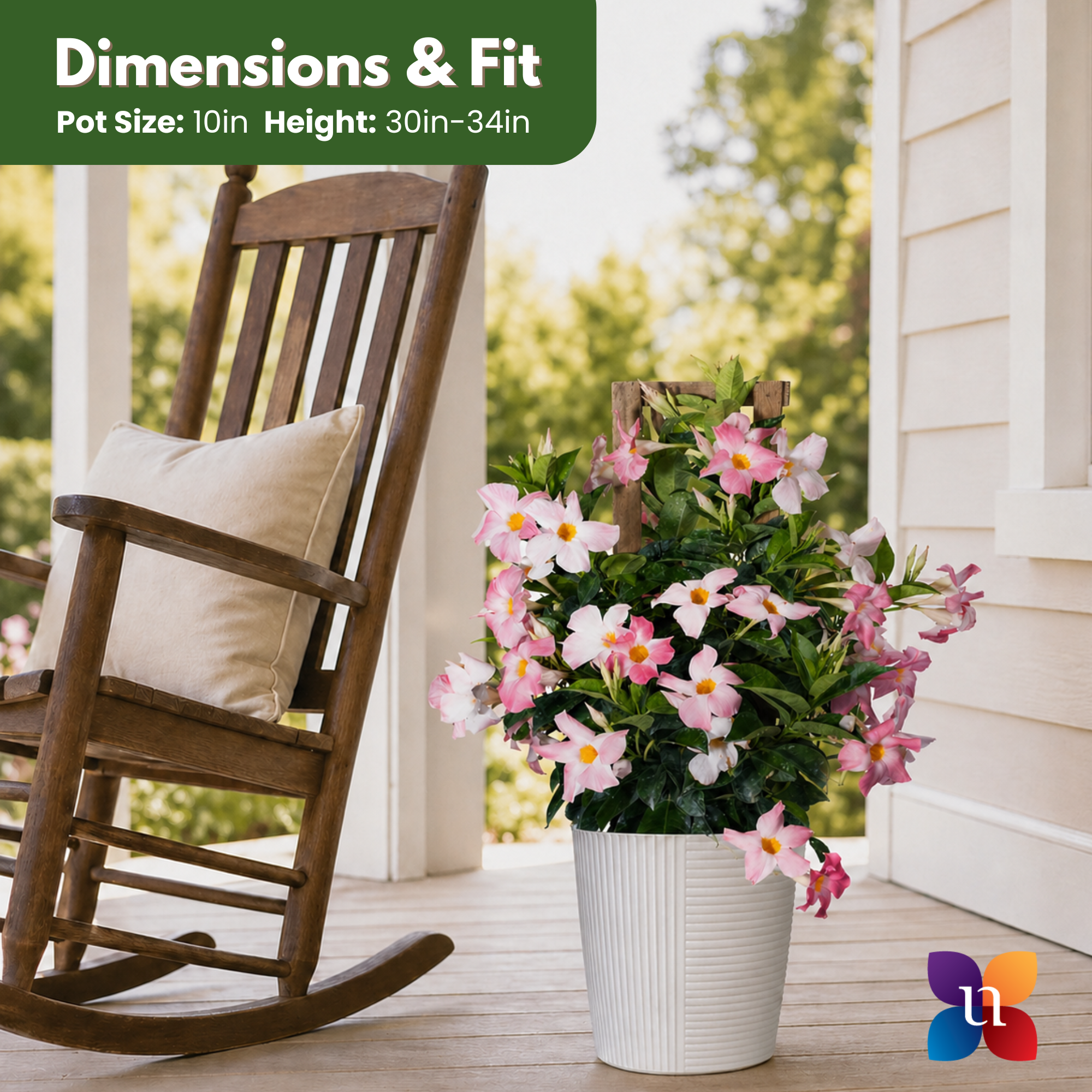 Pink Mandevilla Trellis